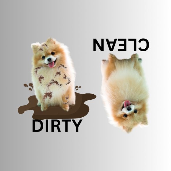 POMERANIAN Clean Dirty Dishwasher Flexible Magnet - Picture 1 of 1